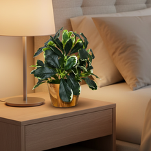 Artificial Leaves Plant in Wood Pot (Height 30 cm)