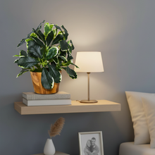 Artificial Leaves Plant in Wood Pot (Height 30 cm)