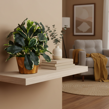 Artificial Leaves Plant in Wood Pot (Height 30 cm)
