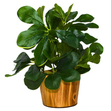 Artificial Leaves Plant in Wood Pot (Height 30 cm)