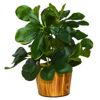 Artificial Leaves Plant in Wood Pot (Height 30 cm)