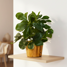 Artificial Leaves Plant in Wood Pot (Height 30 cm)