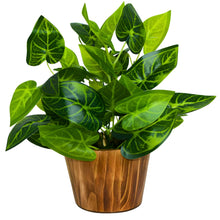Artificial Leaves Plant in Wood Pot (Height 30 cm)