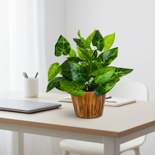 Artificial Leaves Plant in Wood Pot (Height 30 cm)