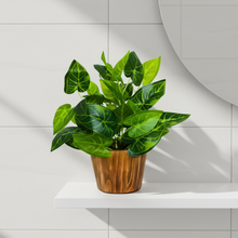 Artificial Leaves Plant in Wood Pot (Height 30 cm)