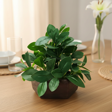 Artificial Ficus Leaves Plant in Wood Hexagon Pot - 20cm Height - Home & Office Decor Elegant Potted Plant for Tabletop Enhancement