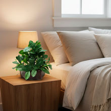 Artificial Ficus Leaves Plant in Wood Hexagon Pot - 20cm Height - Home & Office Decor Elegant Potted Plant for Tabletop Enhancement