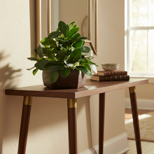 Artificial Ficus Leaves Plant in Wood Hexagon Pot - 20cm Height - Home & Office Decor Elegant Potted Plant for Tabletop Enhancement