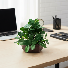 Artificial Ficus Leaves Plant in Wood Hexagon Pot - 20cm Height - Home & Office Decor Elegant Potted Plant for Tabletop Enhancement