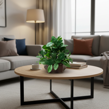 Artificial Ficus Leaves Plant in Wood Hexagon Pot - 20cm Height - Home & Office Decor Elegant Potted Plant for Tabletop Enhancement