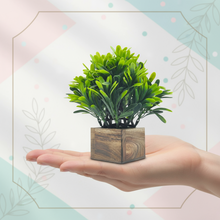 Artificial Euphorbia Green Wood Pot ( Height 18 cm)