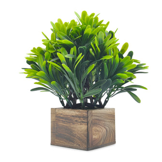 Artificial Euphorbia Green Wood Pot ( Height 18 cm)