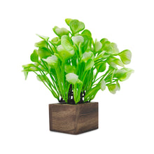 Artificial Water Plant Light Green Wood Pot ( Height 18 cm)