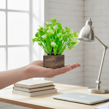 Artificial Water Plant Light Green Wood Pot ( Height 18 cm)