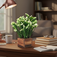 Artificial Water Plant White Wood Pot ( Height 18 cm)