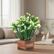 Artificial Water Plant White Wood Pot ( Height 18 cm)