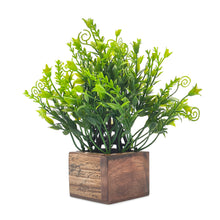 Artificial Grass Green Leaves in Wood Pot ( Height 18 cm)