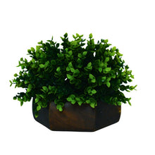Artificial Hackleberry Green Plant in Wood Hexagon Pot - 15cm Height - Home & Office Decor Elegant Potted Plant for Tabletop Enhancement
