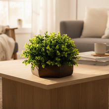 Artificial Hackleberry Green Plant in Wood Hexagon Pot - 15cm Height - Home & Office Decor Elegant Potted Plant for Tabletop Enhancement