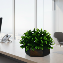 Artificial Hackleberry Green Plant in Wood Hexagon Pot - 15cm Height - Home & Office Decor Elegant Potted Plant for Tabletop Enhancement