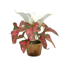 Artificial Caladium flower Plant in Wood Pot Design-02