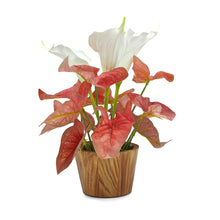 Artificial Caladium flower Plant in Wood Pot Design-03