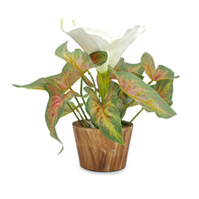 Artificial Caladium flower Plant in Wood Pot Design-04