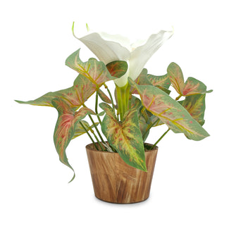 Artificial Caladium flower Plant in Wood Pot Design-04