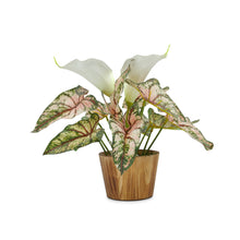 Artificial Caladium flower Plant in Wood Pot Design-05