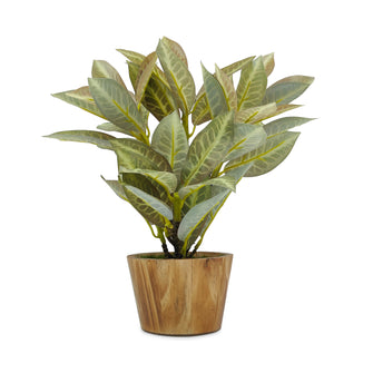 Artificial Plant Croton in Wood Pot Design-02