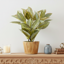 Artificial Plant Croton in Wood Pot Design-02