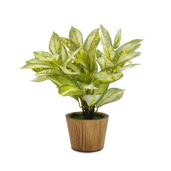 Artificial Plant Croton in Wood Pot Design-03