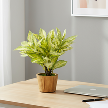 Artificial Plant Croton in Wood Pot Design-03