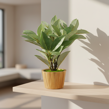 Artificial Plant Croton in Wood Pot Design-04