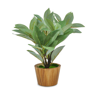 Artificial Plant Croton in Wood Pot Design-04