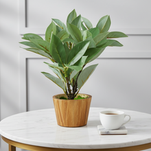 Artificial Plant Croton in Wood Pot Design-04