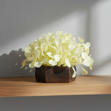 Artificial Waterplant White in Hexagon Pot