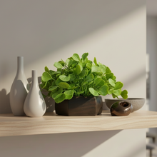 Artificial Waterplant Green in Hexagon Pot