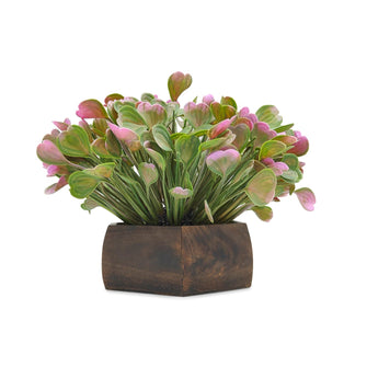 Artificial Waterplant Pink in Hexagon Pot