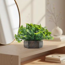 Artificial Waterplant Mix-Green in Hexagon Pot