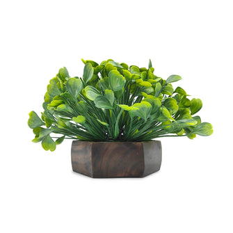 Artificial Waterplant Mix-Green in Hexagon Pot