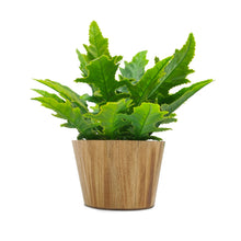 Artficial Plant Arrangement in Wood Pot