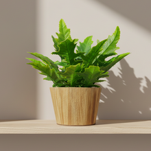 Artficial Plant Arrangement in Wood Pot