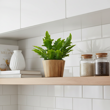 Artficial Plant Arrangement in Wood Pot