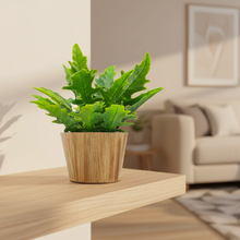 Artficial Plant Arrangement in Wood Pot