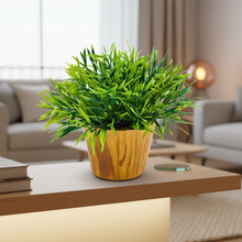 Artificial Plant Mini Bamboo in Wooden Pot Perfect Potted Decoration for Home Living Room & Office Spaces D‚cor Height - 19cm