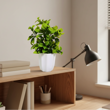 Artificial Plant Leaves in Pot Perfect Potted Decoration for Home Living Room & Office Spaces Height - 30cm