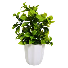 Artificial Plant Leaves in Pot Perfect Potted Decoration for Home Living Room & Office Spaces Height - 30cm