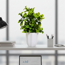 Artificial Plant Leaves in Pot Perfect Potted Decoration for Home Living Room & Office Spaces Height - 30cm