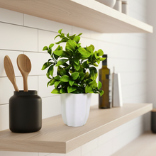 Artificial Plant Leaves in Pot Perfect Potted Decoration for Home Living Room & Office Spaces Height - 30cm